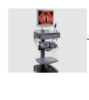 Direct Laryngeostrobscopy